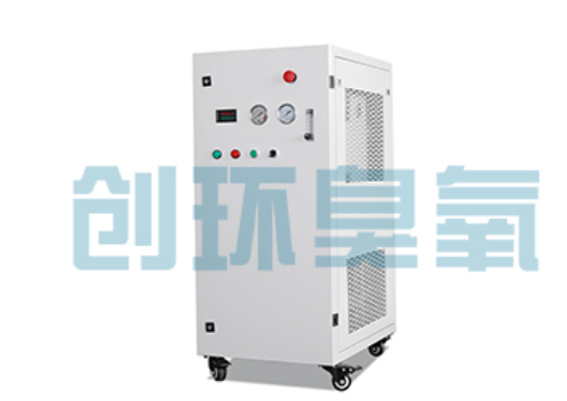 东营石斑鱼养殖水质调控完整指南：臭氧发生器配置与操作步骤