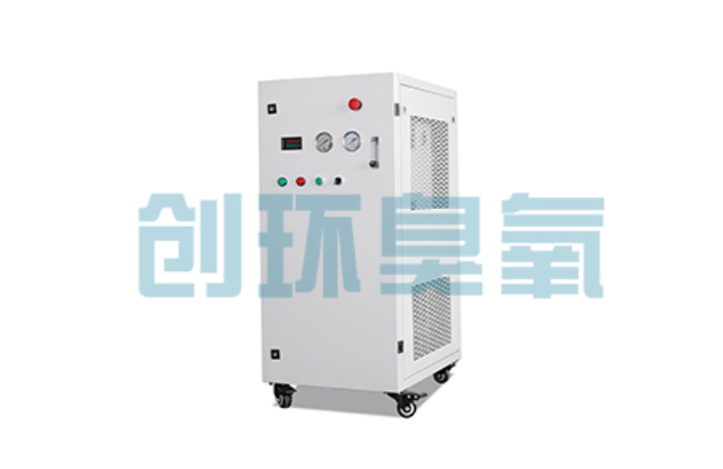 东营比传统换水更高效？臭氧发生器在石斑鱼养殖中的水质净化原理解析